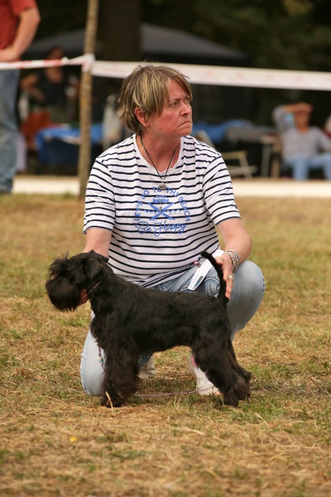 CH. Violet n black pepper lolipop Des matins de cristal