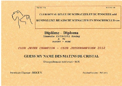 Des matins de cristal - Guess My Name Des Matins de Cristal