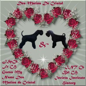 Des matins de cristal - Bientôt des bébés