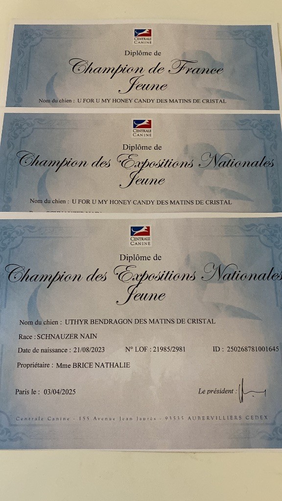 3 titres de Champions Jeune