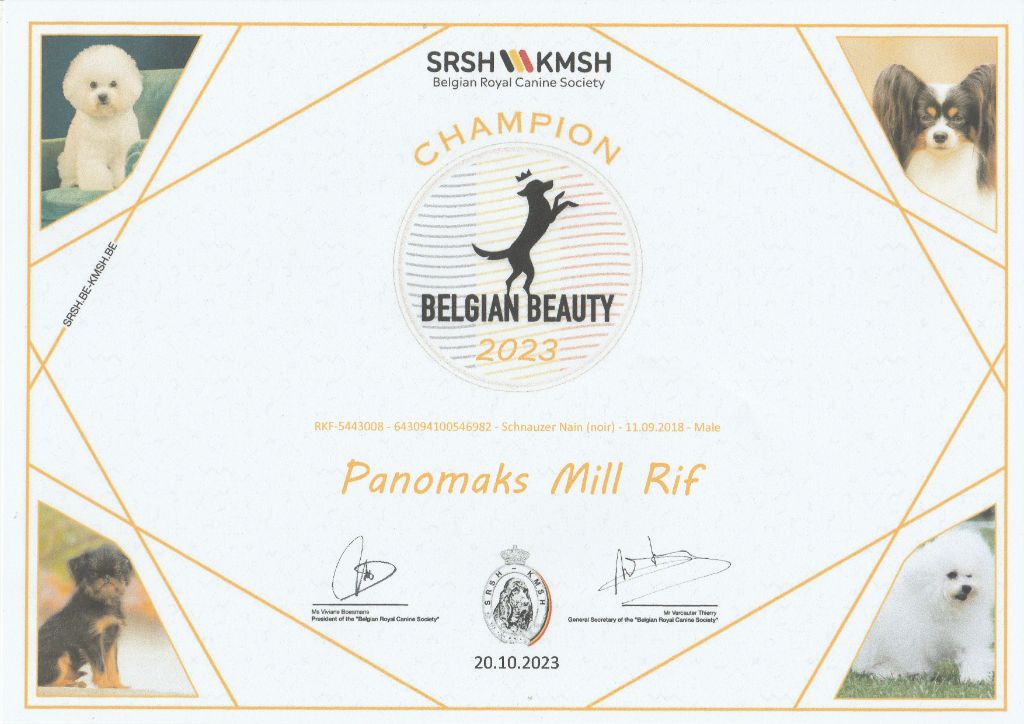 Des matins de cristal - CHAMPION DE BEAUTE BELGE POUR PANOMAKS MILL RIF