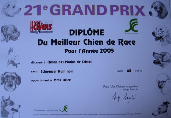 Diplomes